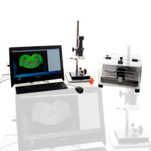 Cross Section Lab